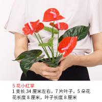 XU0610521